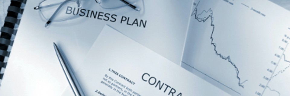Business Legal Advice & Services